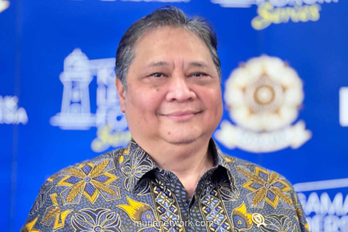 Airlangga Soroti Kebangkitan Afrika dan Dominasi Global South di KTT G20