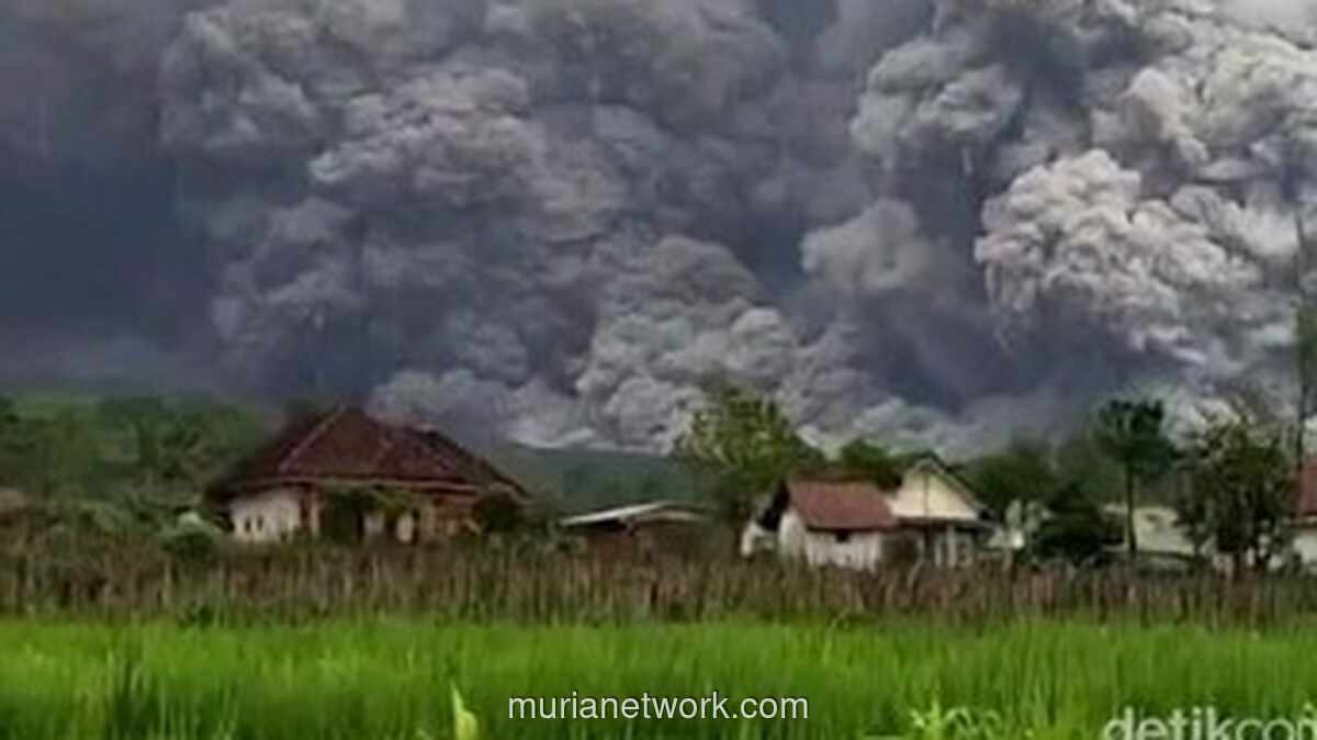 Gunung Semeru Erupsi 2025: Status Awas & Evakuasi 300 Warga, Ini Zona Bahayanya