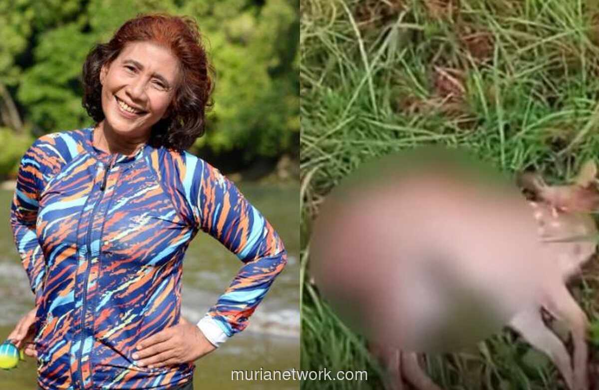 Rusa Peliharaan Susi Pudjiastuti Tewas Diterkam Anjing Liar, Lapor Polisi Tak Digubris