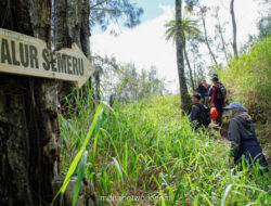 Status Awas, Pendakian Gunung Semeru Resmi Ditutup