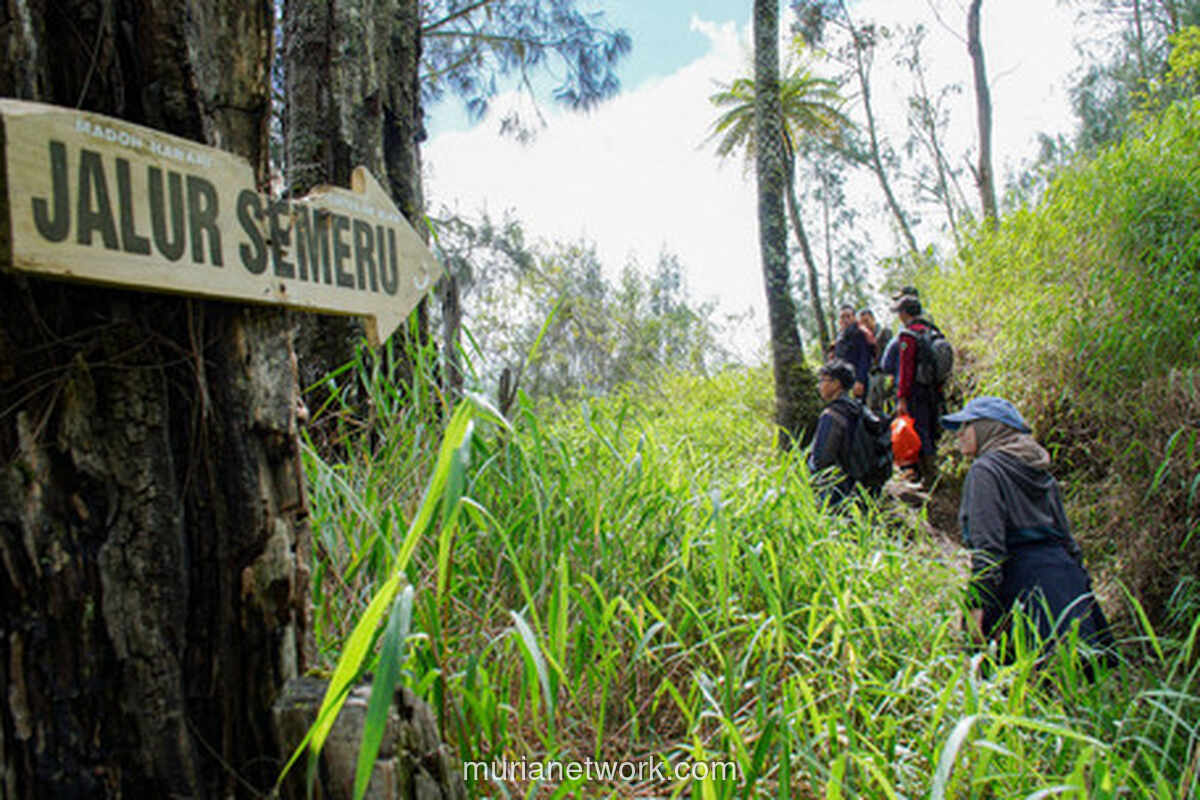 Status Awas, Pendakian Gunung Semeru Resmi Ditutup