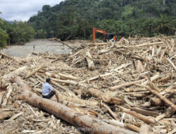 Banjir Bandang Tapanuli Selatan Terjang Rumah dengan Gelondongan Kayu Raksasa