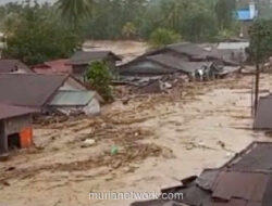 Sumut Berduka: 17 Tewas dan Ribuan Mengungsi Akibat Longsor-Banjir Bandang