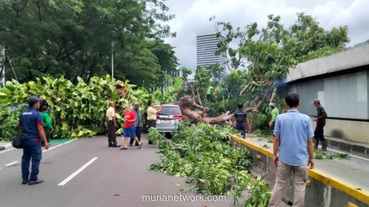 Pohon Tumbang di Senayan Sempat Lumpuhkan Layanan MRT Jakarta