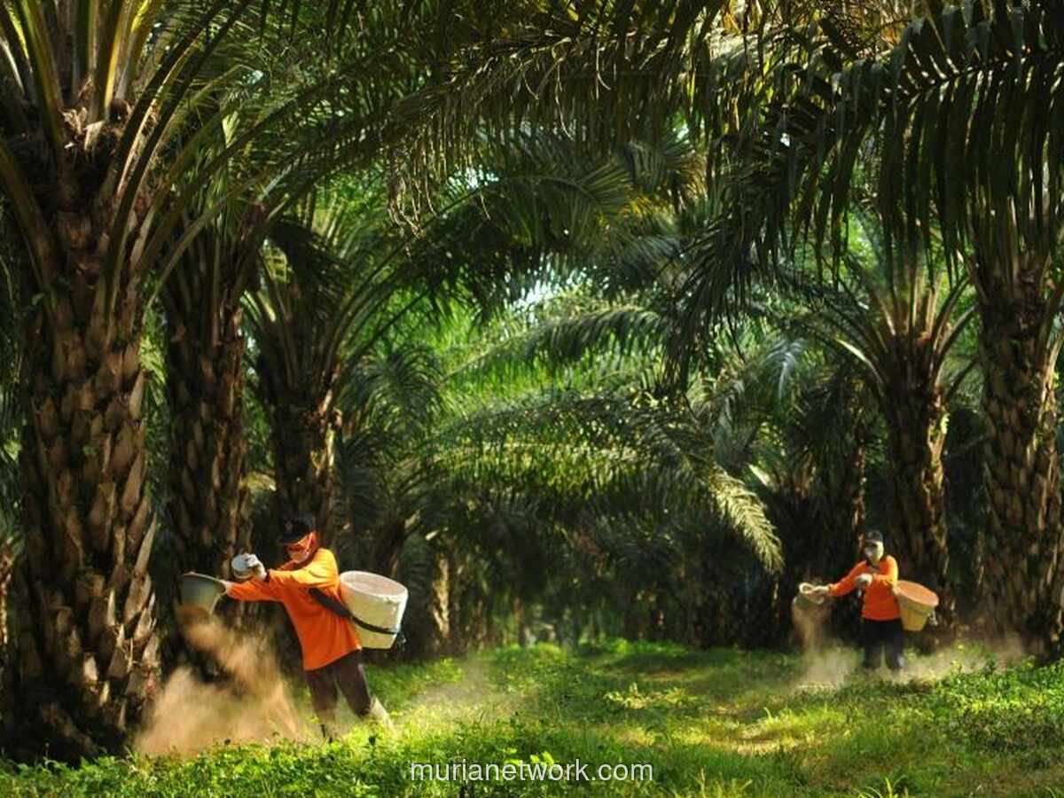 POSCO International Ambil Alih Saham Sampoerna Agro Rp9,45 Triliun, Harga MTO Bakal Tembus Rp7.903