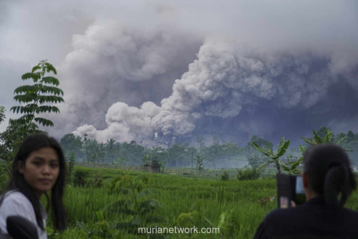 Gunung Semeru Muntahkan Awan Panas 8,5 Kilometer, Status Siaga Tertinggi Ditetapkan