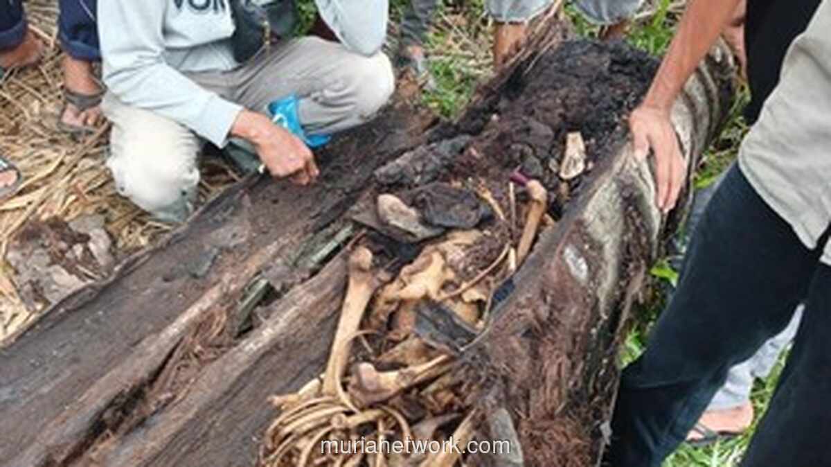 Misteri Dua Tahun Hilang Terpecahkan, Kerangka di Pohon Aren Sergai Identik sebagai Muhammad Yuda Prawira