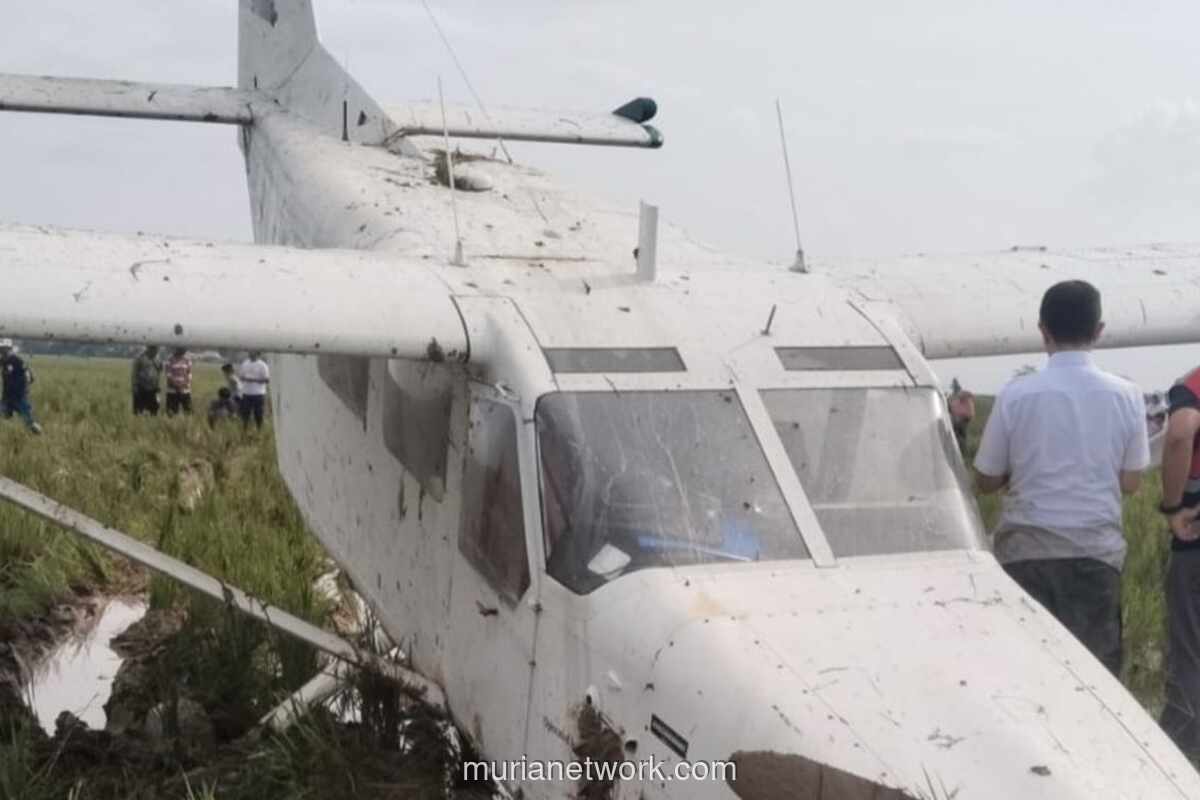 Pesawat Latih Berputar di Udara Sebelum Mendarat Darurat di Sawah Karawang