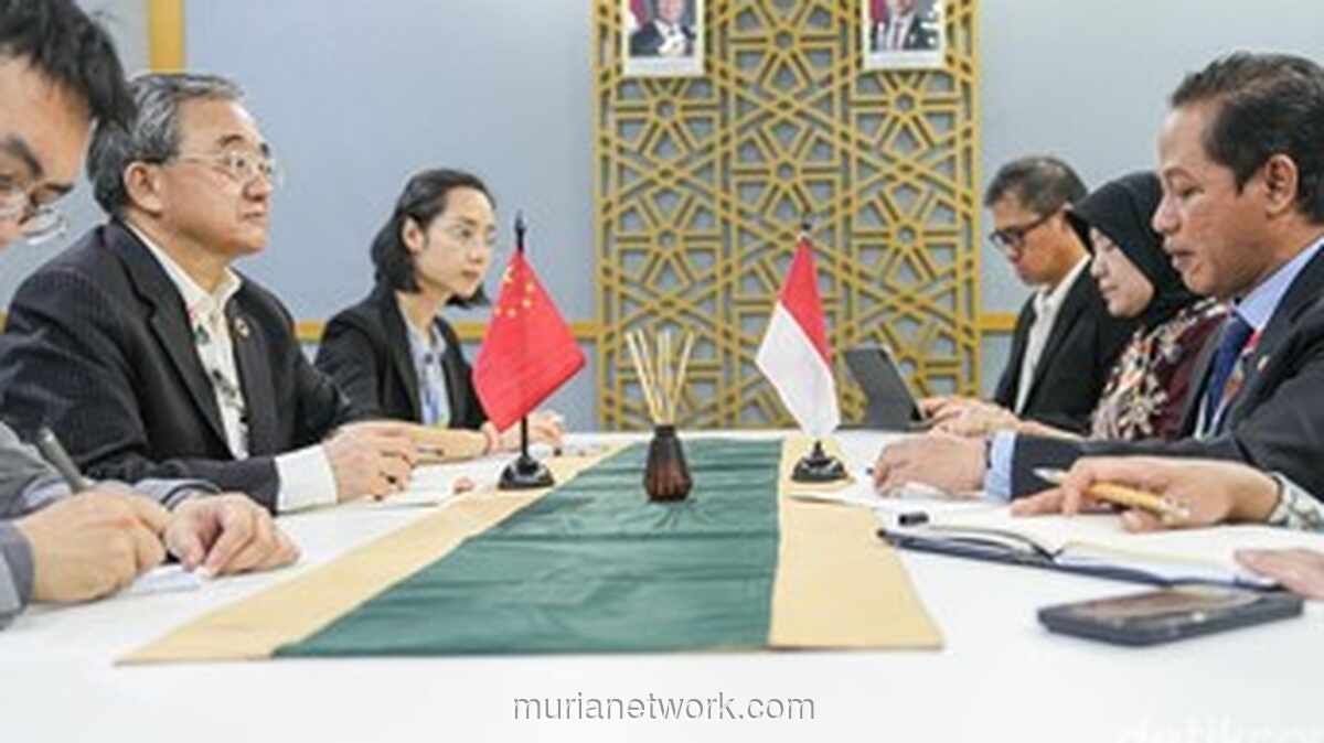 Indonesia Pamer Strategi Iklim di Hadapan Utusan Khusus China