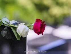 Fortuner Oleng di Meruya Ilir, Sopir Tewas Usai Tabrak Boks Hino