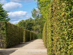 Menguak Pesan Tersembunyi di Balik Mimpi Terjebak Labirin