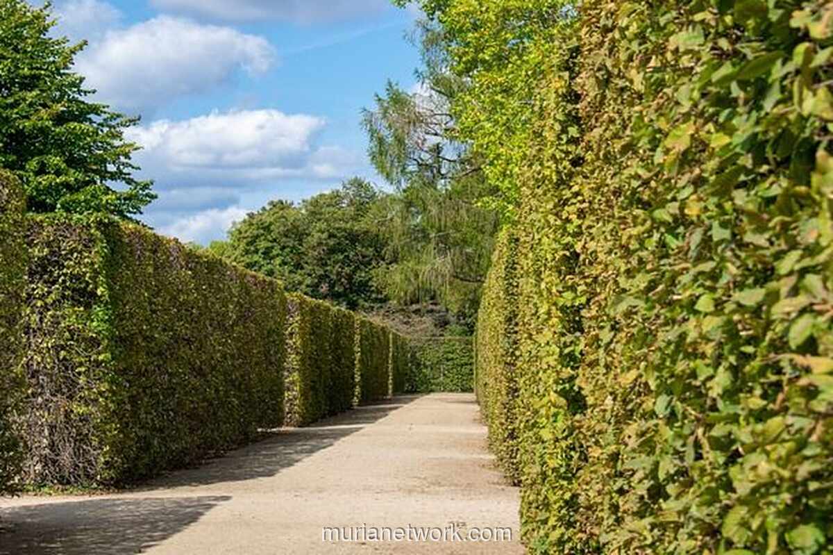 Menguak Pesan Tersembunyi di Balik Mimpi Terjebak Labirin
