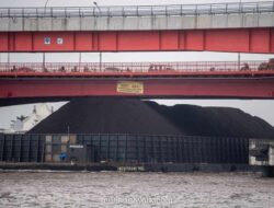 Timah Bersinar di Tengah Pelemahan Minyak dan Nikel