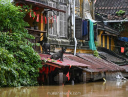 Nha Trang Berubah Jadi Lautan, 41 Nyawa Melayang Akibat Banjir Dahsyat