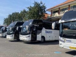 DAMRI Gelar Flash Sale, Satu Tiket Cuma Rp79!