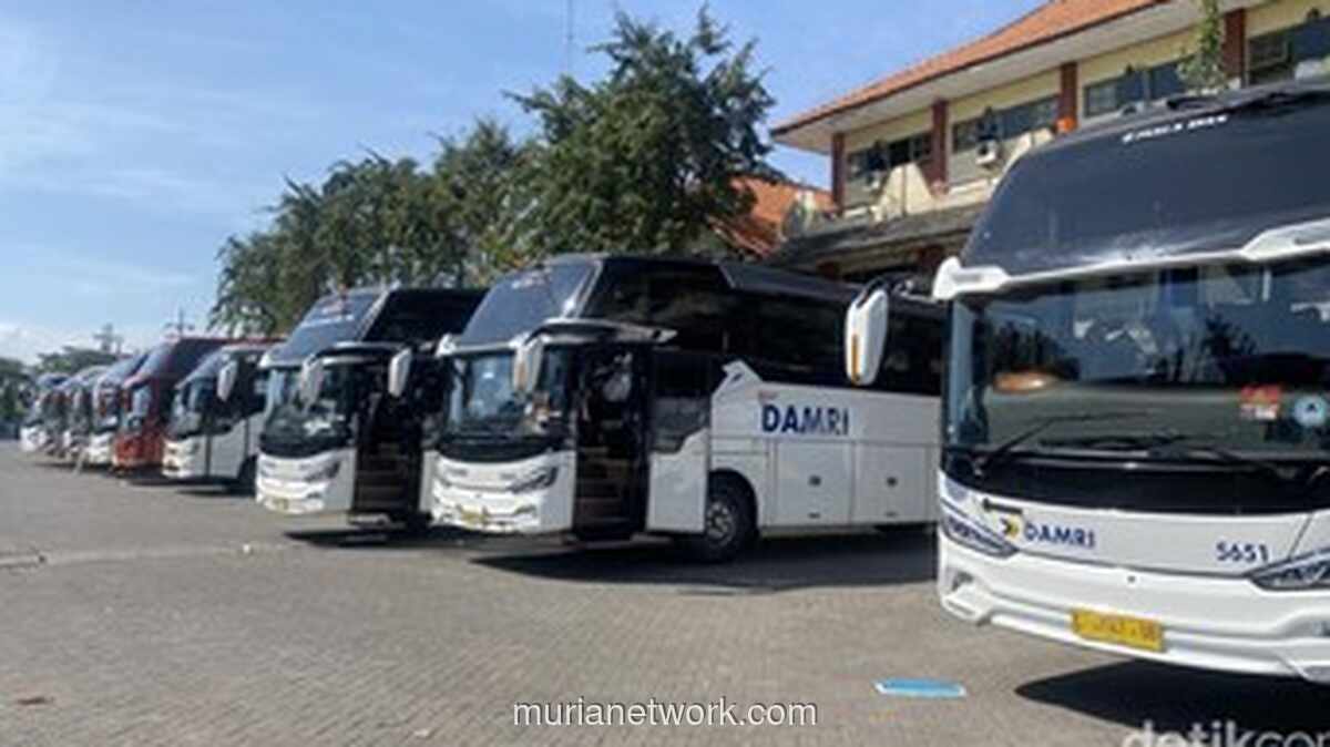 DAMRI Gelar Flash Sale, Satu Tiket Cuma Rp79!