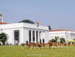 Bogor dan Hujan: Kisah Cinta yang Tak Pernah Usai