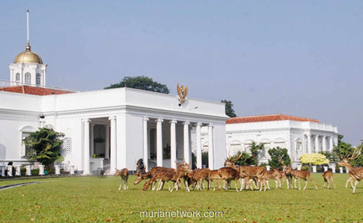 Bogor dan Hujan: Kisah Cinta yang Tak Pernah Usai