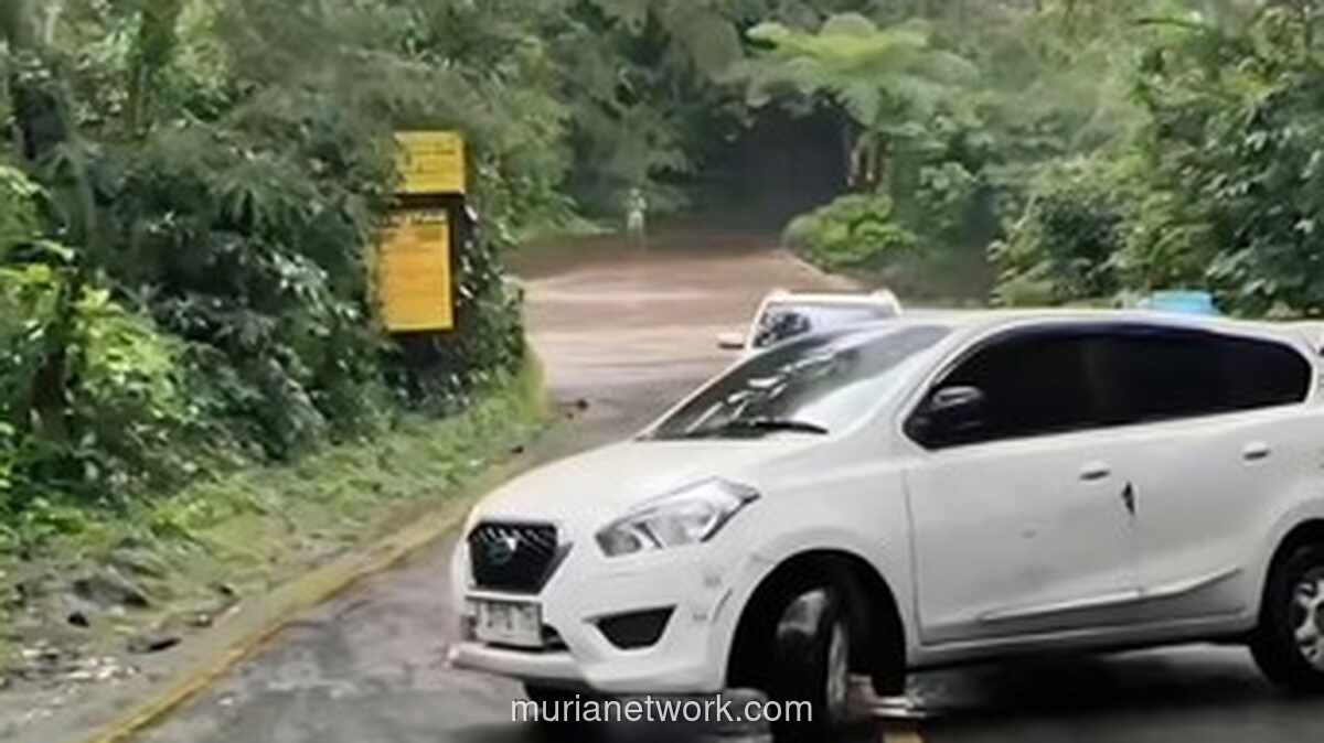 Taman Safari Puncak Digenangi Banjir, Pengelola Pastikan Satwa dan Pengunjung Aman