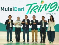 Tabungan Emas BRI Tembus 13,7 Ton, Minat Investasi Masyarakat Melejit