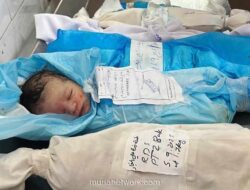 Gencatan Senjata Gaza Tak Mampu Hentikan Derita Anak-anak