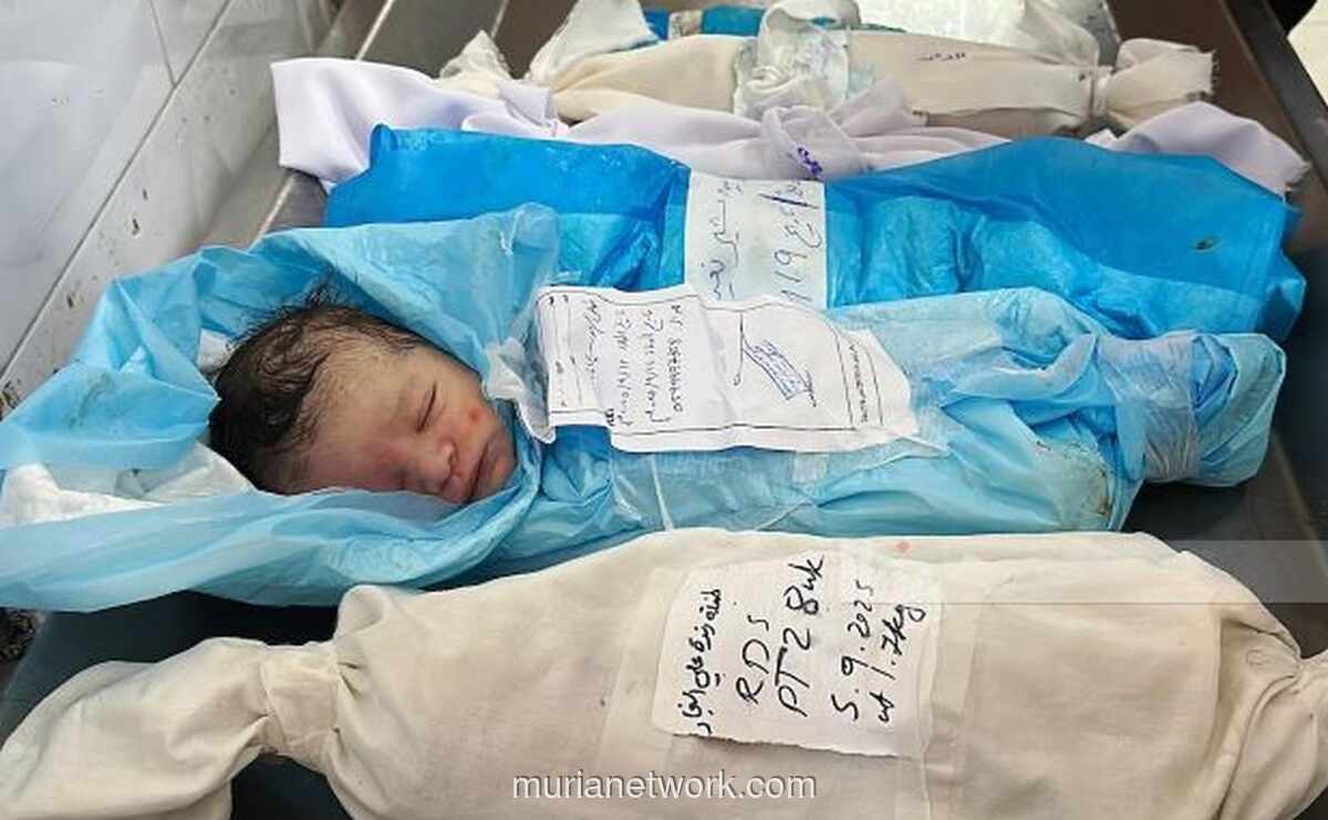 Gencatan Senjata Gaza Tak Mampu Hentikan Derita Anak-anak