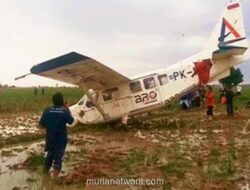 Pesawat Cessna Terpaksa Turun di Sawah Karawang, Lima Penumpang Selamat