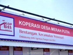 95 Persen Koperasi Merah Putih Sudah Miliki NPWP