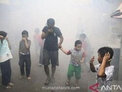 Waspada DBD Jaksel: 1.384 Kasus Terjadi hingga November 2025