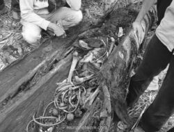 Misteri Kerangka dalam Batang Aren Terkuak, Identitas Korban Akhirnya Terungkap