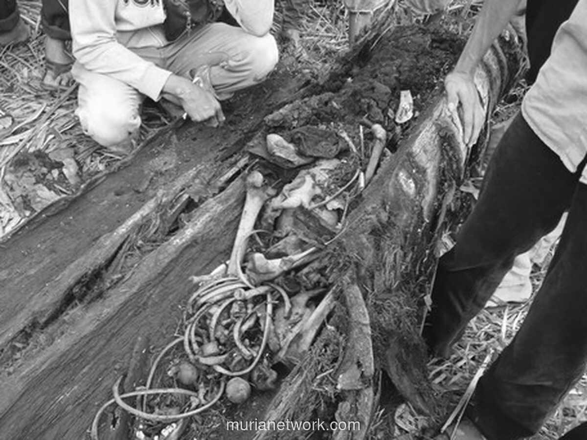 Misteri Kerangka dalam Batang Aren Terkuak, Identitas Korban Akhirnya Terungkap