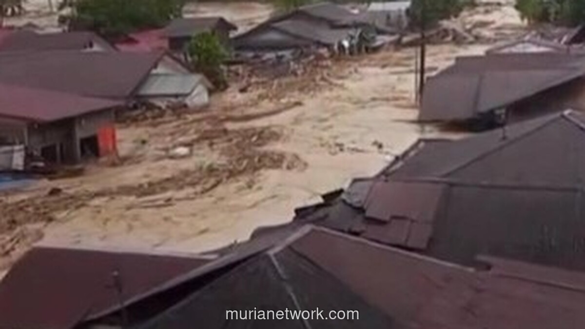 Bencana Tapanuli Raya: Delapan Nyawa Melayang, Ribuan Rumah Terendam Banjir