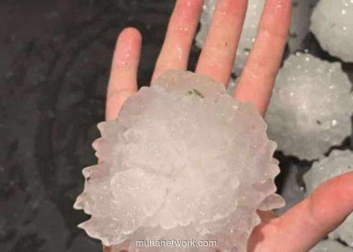 Queensland Dilanda Badai Es Raksasa, 95 Ribu Rumah Gelap Gulita