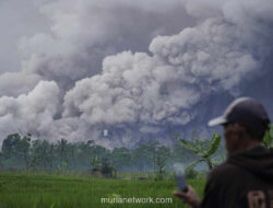 BNPB Kosongkan Besuk Kobokan, Jalur Lahar Semeru Kembali Mengamuk