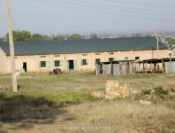 Nigeria Berduka: 52 Pelajar Lenkap Diculik Kelompok Bersenjata di Sekolah Katolik