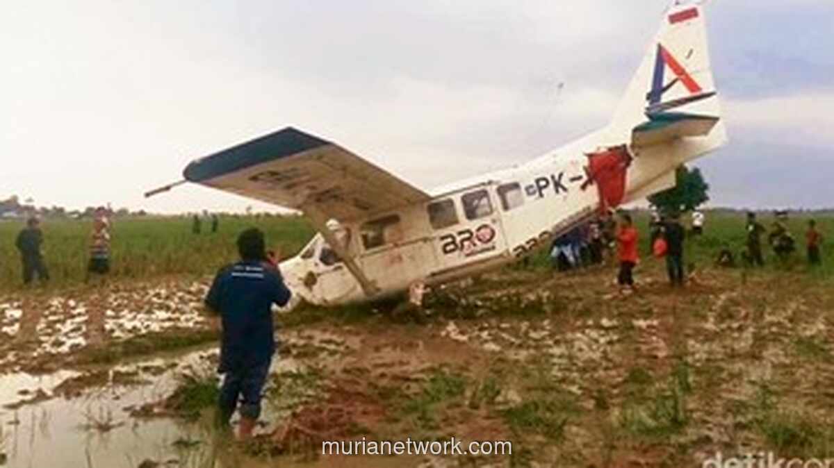 Gemuruh di Langit Karawang, Cessna Jatuh Usai Terlihat Oleng
