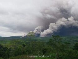 Semeru Bergolak, Tambang Pasir di Lereng Berbahaya Dihentikan Sementara
