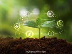 Ekonomi Hijau Indonesia: Potensi Raksasa yang Belum Sampai ke Rakyat