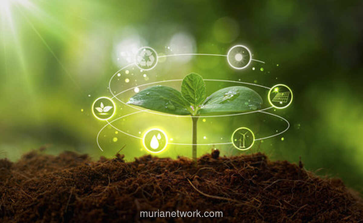 Ekonomi Hijau Indonesia: Potensi Raksasa yang Belum Sampai ke Rakyat