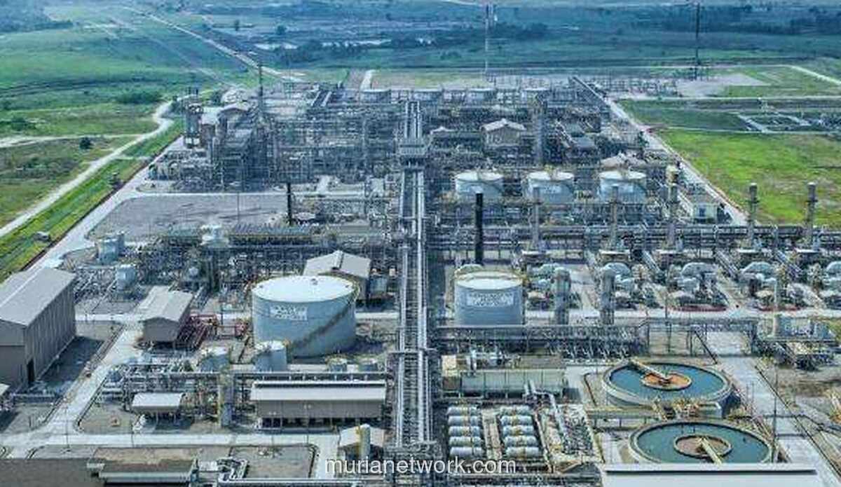 RAJA Pacu Ekspansi, Saham Melonjak 5% di Awal Pekan