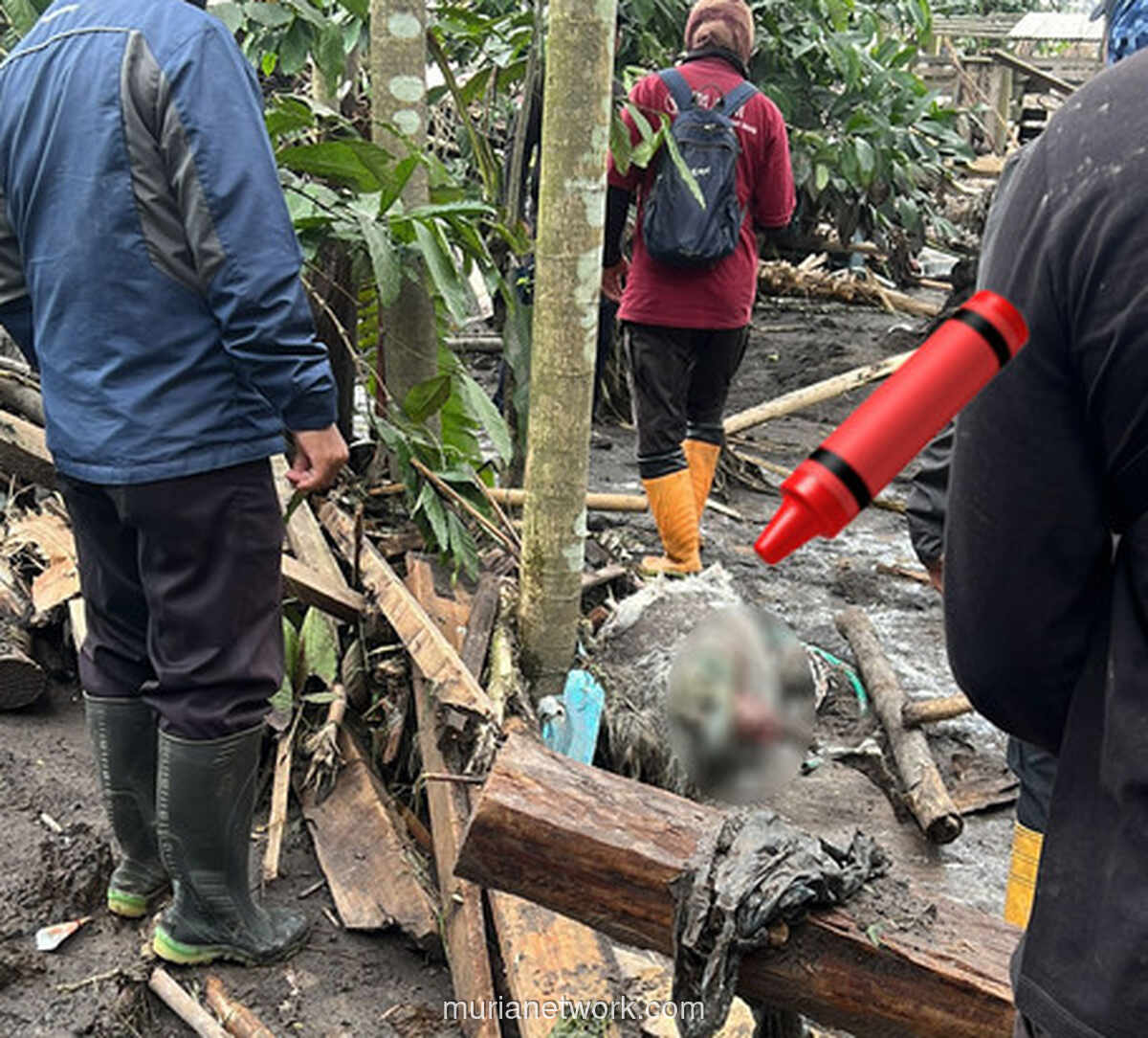 Ratusan Ternak di Lumajang Hangus Terpanggang Awan Panas Semeru