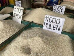 Bapanas Genjot Distribusi Beras, Harga Dijamin Stabil Jelang Natal dan Tahun Baru