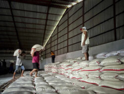 Amran Sulaiman Beberkan Motif di Balik Rencana Impor Ilegal 250 Ribu Ton Beras