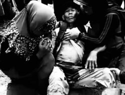 Lima Petani di Bengkulu Selatan Tembak Diduga Oknum Perusahaan, Walhi Desak Penuntasan