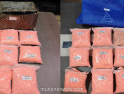 Kurir Narkoba Diringkus Usai Kabur dari Lokasi Tumburan di Tol Sumatera