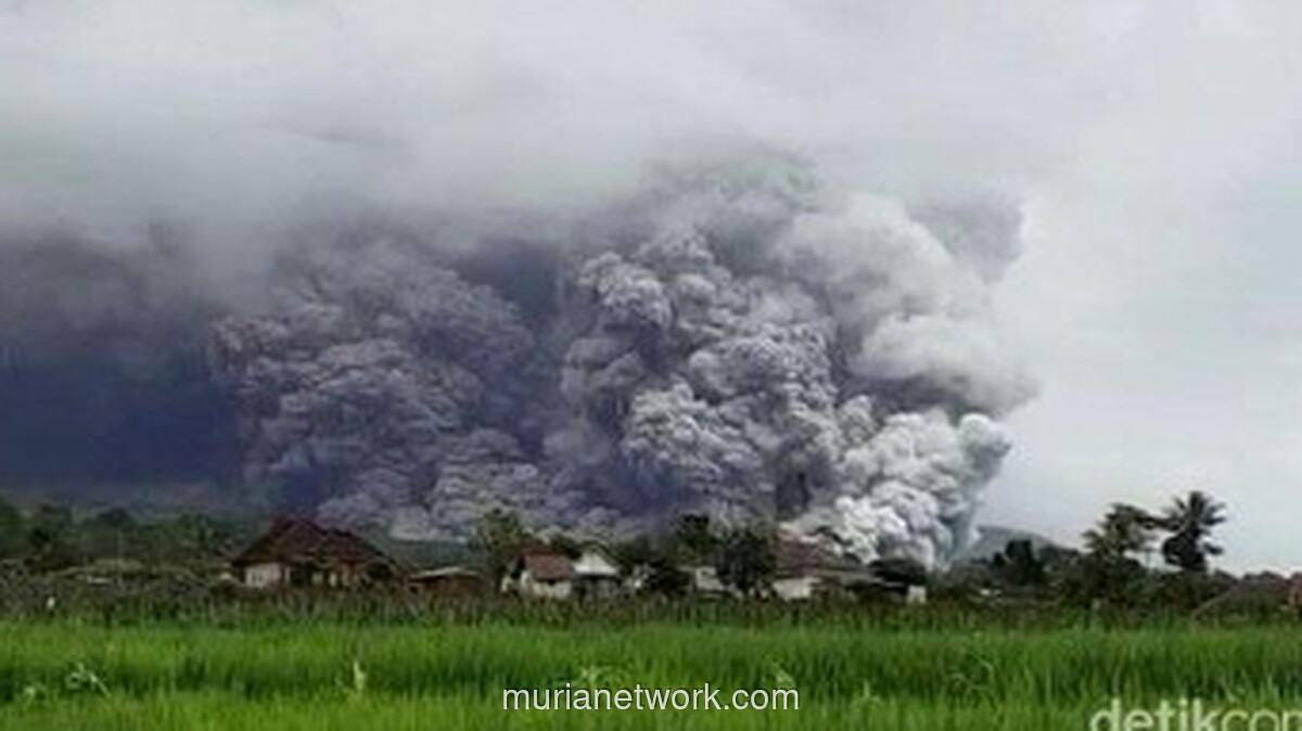 Status Awas, Pendakian Gunung Semeru Ditutup Total