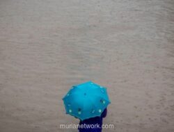 Genangan di Rawa Buaya Bertahan 50 Cm, BPBD Pastikan Hampir Semua Banjir Jakarta Surut