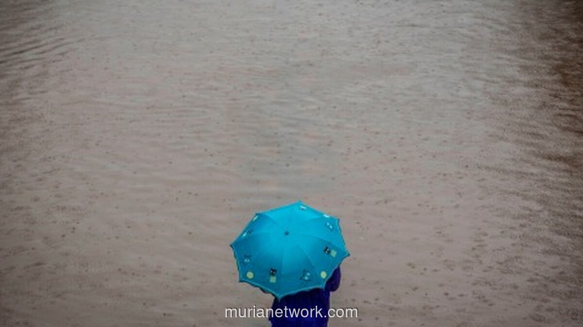 Genangan di Rawa Buaya Bertahan 50 Cm, BPBD Pastikan Hampir Semua Banjir Jakarta Surut