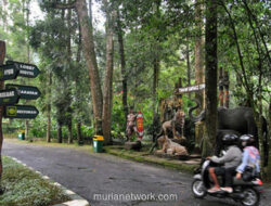 Banjir Bandang Taman Safari Bogor, Pengunjung Dievakuasi Lewat Jalur Alternatif
