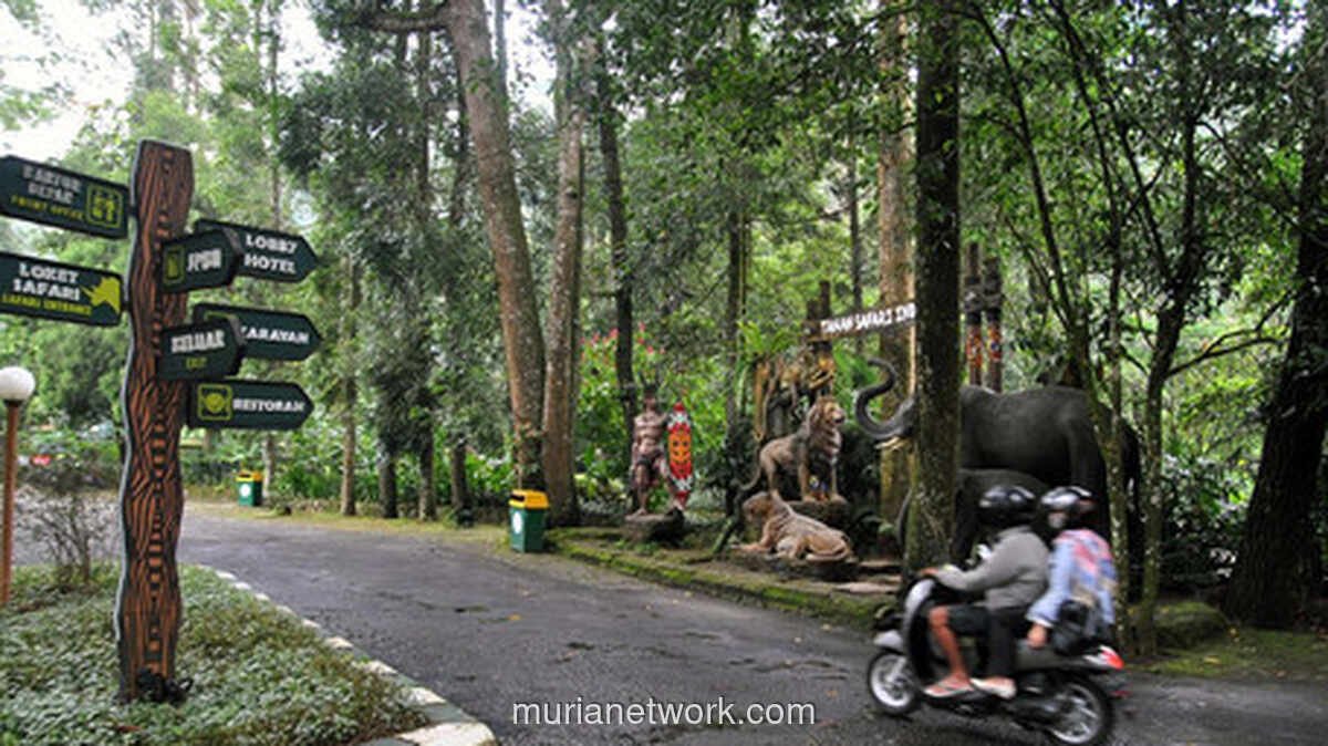 Banjir Bandang Taman Safari Bogor, Pengunjung Dievakuasi Lewat Jalur Alternatif